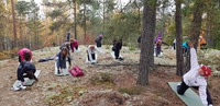 Metsäjooga
