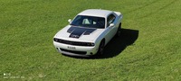 Challenger RT Plus